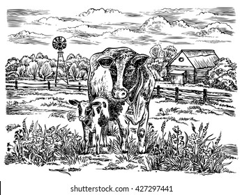 Field with cows. Vector hand drawn graphic illustration. Rural landscape.