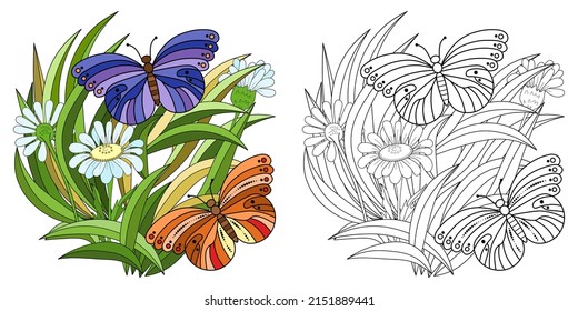 Field daisies and butterflies on a white background. Anti-stress coloring book for children and adults. Black contour drawing.