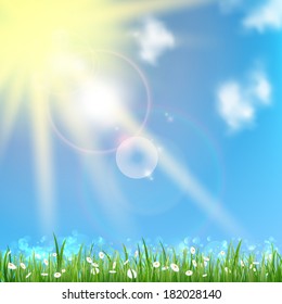 Field daisies in the morning. EPS10