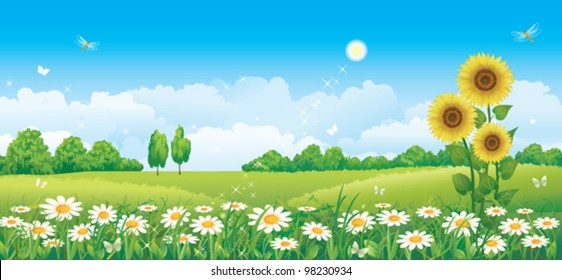 Field of daisies on a sunny day