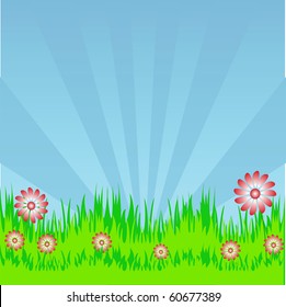 Field of daisies and perfect sky