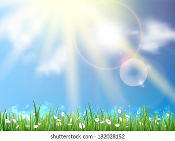 Field of daisies and perfect sky. EPS10