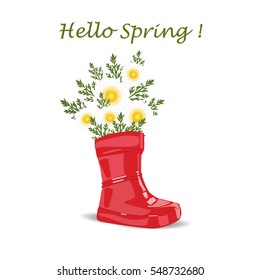 field of daisies in red rubber boots children's inscription Hello spring creative art vector isolated on white background element for design