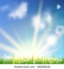 Field of daisy flowers. EPS10
