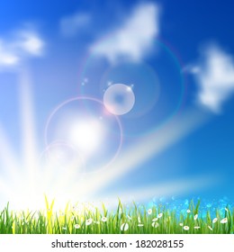 Field of daisy flowers. EPS10
