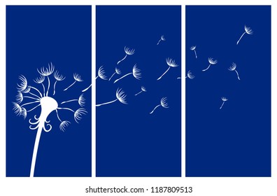 The Field dandelion. 
