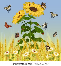 Field of ears and sunflowers.Butterflies, sunflowers and a field of ears of corn on a colored background in vector illustration.