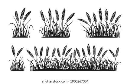 Field ears wheat black silhouette set. Ripe spikelets wheat glyph collection. Agricultural symbol oat bakery flour production. Design organic farm element, vegetarian bread packaging beer label vector