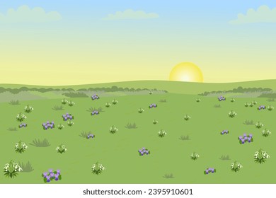 Field Farm Landscape Spring Summer flower snowdrop wildflowers. Countryside Landscape with sunset sunrise blue sky vector illustration cartoon style. 