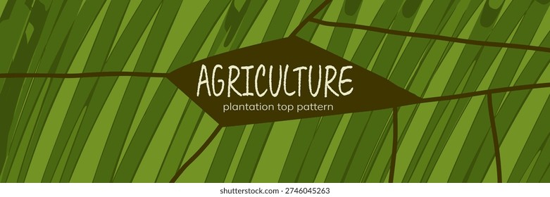 Field farm vineyard and pattern abstract top with agriculture view texture. Plantation green tea and background rice rural with mountain nature land. Forest field landscape and paddy pattern art.