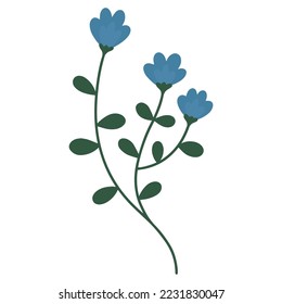 Field flower. Branch with flowers. A delicate sprig of flowers. Vector wildflower. Minimalistic sprig of flowers.