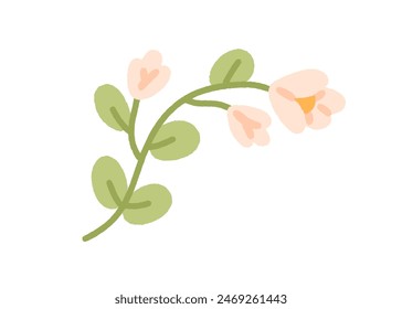 Field flower. Gentle floral branch. Blooming plant with blossomed bud and leaves. Spring wildflower stem. Beautiful botanical design element. Flat vector illustration isolated on white background