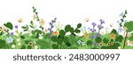 Field flower and grass border. Spring meadow, summer floral pattern with wildflowers. Summer bloom and blossom, horizontal botanical decoration. Flat vector illustration isolated on white background