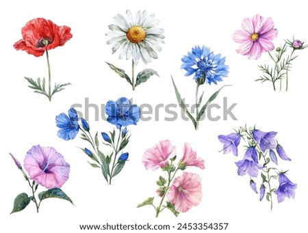 Similar – Image, Stock Photo Poppy flower with wild bee