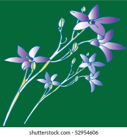 field flowers