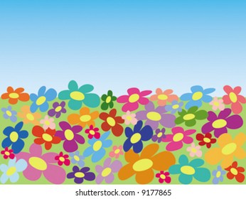 field of flowers