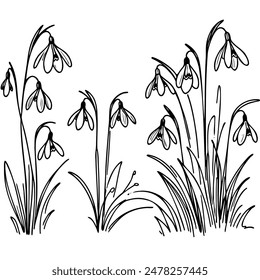 A field of flowers with a black and white color scheme. The flowers are small and delicate, with a few of them being snowdrops. The field is surrounded by tall grass, giving it a serene