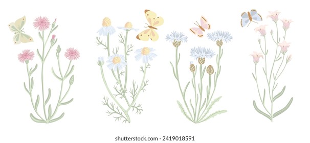 field flowers and butterflies, vector drawing wild plants at white background, floral elements, hand drawn botanical illustration