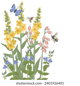 field flowers, butterfly and bumblebee, vector drawing wild flowering plants and insects at white background, natural composition, hand drawn botanical illustration