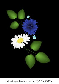 Field flowers cornflower, forget-me-not and daisy are isolated on black background. Vector illustration.