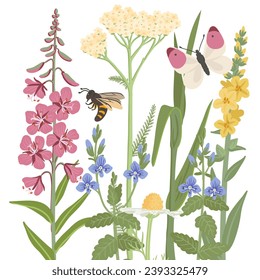 flores de campo y hierba, vectores dibujando plantas de flores silvestres con mariposa y abeja en fondo blanco, borde floral, ilustración botánica dibujada a mano
