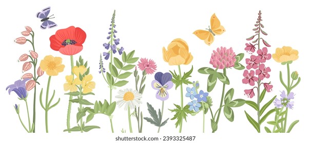 field flowers and grass, vector drawing wild flowering plants with butterflies at white background, floral border, hand drawn botanical illustration