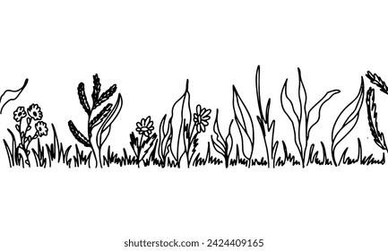 Field flowers. Hand drawn doodle style. Vector illustration isolated on white. Coloring page.