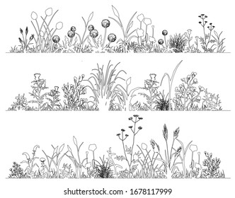 Field flowers and herbs landscape set, line art, vector illustration