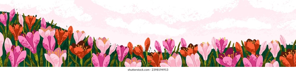 Field flowers landscape panorama. Meadow floral plants, spring nature background. Gentle summer blooms, blossomed wildflowers, beautiful gorgeous crocuses, wide banner. Flat vector illustration