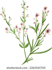 Field Flowers on Branch. Wildflower Icon. Hand Drawn Meadow Plant Isolated on Transparent Background