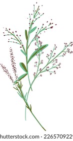 Field Flowers on Branch. Wildflower Icon. Hand Drawn Meadow Plant Isolated on Transparent Background