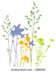 Field flowers and plants, vector, traced