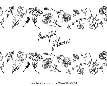 Projeto de borda sem costura de flores de campo em textura de traçado de pincel preto isolado em branco. Ilustração de esboço de vetor desenhado à mão em tinta de carvão vegetal. Daisy, coneflower, lavanda, folhas. Design de impressão