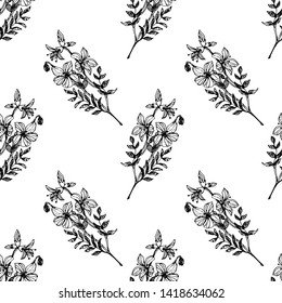 Field flowers. Seamless pattern. Vector illustration.