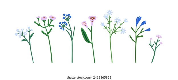 Field flowers set. Spring floral stems, herbal branches, meadow blooms and leaf. Botanical natural design elements. Gentle fragile wildflowers. Flat vector illustration isolated on white background