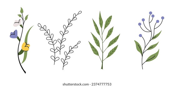 Field flowers stems, blooms set. Delicate gentle spring, summer plants. Wildflowers decoration, meadow floral botanical elements. Flat graphic vector illustrations isolated on white background
