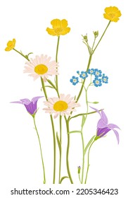 flores de campo, vectores dibujando plantas silvestres de fondo blanco, pradera florida , ilustración botánica dibujada a mano