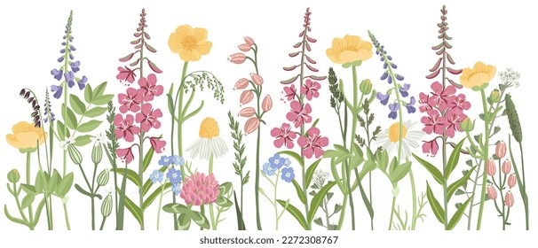 Feldblumen, Vektorgrafik von Wildblütenpflanzen auf weißem Hintergrund, Blumenelemente, handgezeichnet botanische Illustration