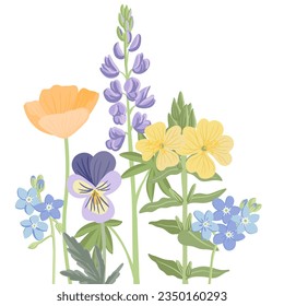 field flowers, vector drawing wild flowering plants at white background, floral border, hand drawn botanical illustration