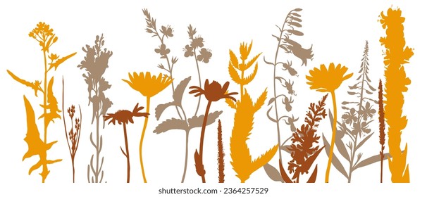 Feldblumen, Vektorgrafik von Wildpflanzen auf weißem Hintergrund, Farbsilhouette-Blumenrand, handgezeichnet botanische Illustration