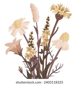 Feldblumen, Vektorgrafik von Wildblütenpflanzen auf weißem Hintergrund, Blumenzusammensetzung, handgezeichnet botanische Illustration