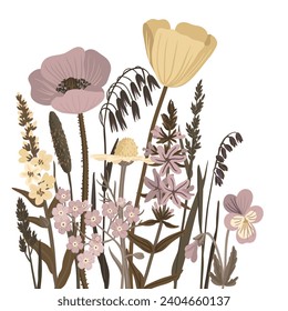 Feldblumen, Vektorgrafik von Wildblütenpflanzen auf weißem Hintergrund, Blumenzusammensetzung, handgezeichnet botanische Illustration