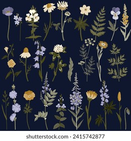 field flowers, vector drawing wild flowering plants isolated at dark blue background, floral design elements, hand drawn botanical illustration