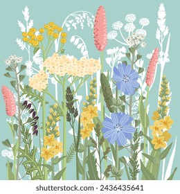 field flowers, vector drawing wild plants at blue sky background, floral composition, hand drawn botanical illustration