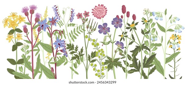 field flowers, vector drawing wild plants at white background, floral composition, hand drawn botanical illustration