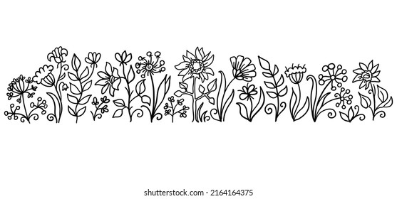 field flowers vector handrawn illustration isolated on white. Nature floral scetch