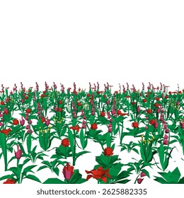 A field of flowers with a white background. The flowers are red and green