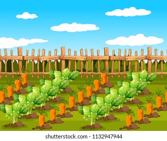 Field of food crops illustration