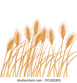 Field of golden wheat. EPS 10 vector, grouped for easy editing. No open shapes or paths.
