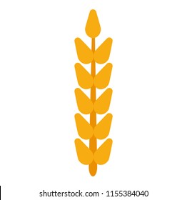 Field grain ear wheat vector. Harvest farm bread rye agriculture food. Cereal barley isolated background plant. Crop icon golden corn illustration logo. Yellow straw beer stem.